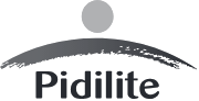 Pidilite Pidilite